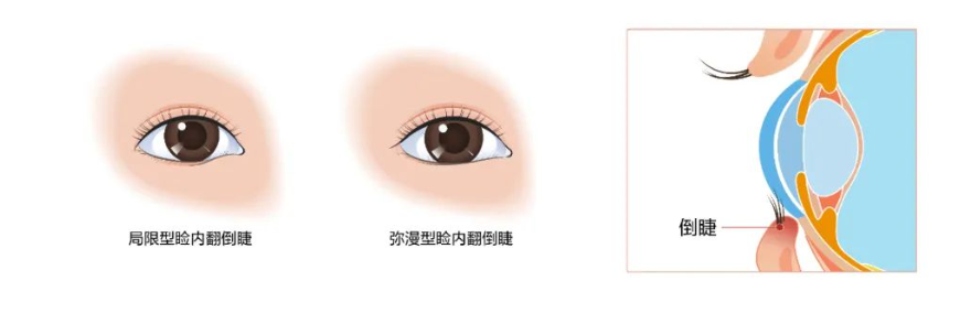 1725866572243056.png