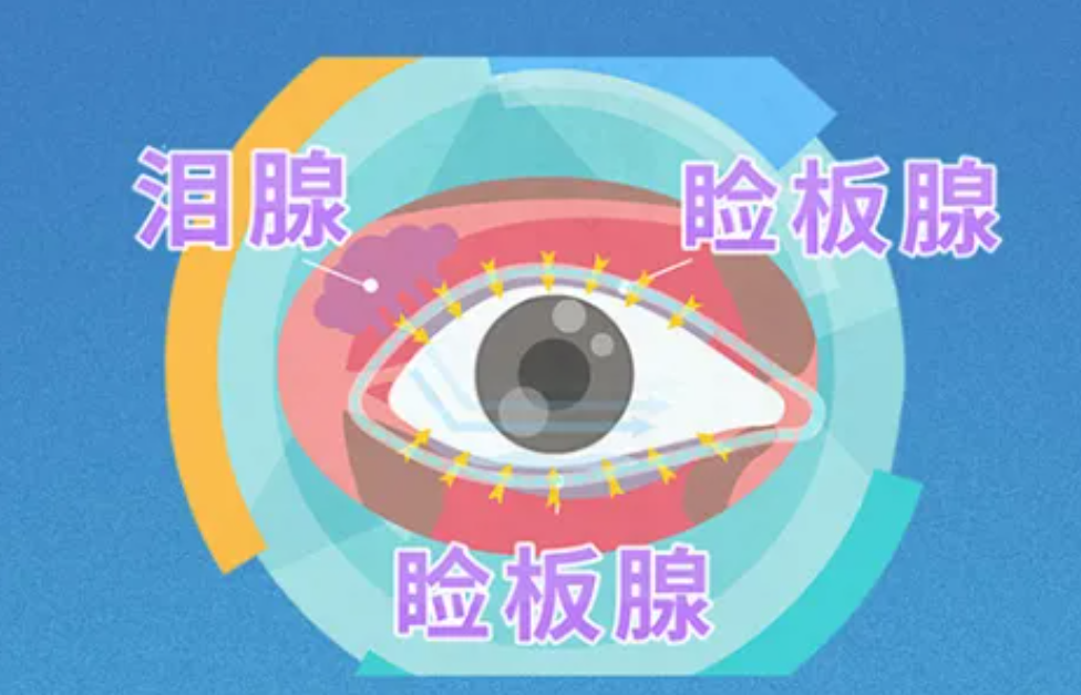 1726645421616565.png