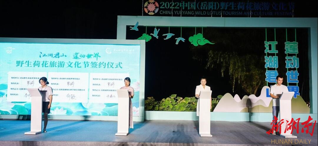 荷叶五寸荷花娇，贴波不碍画船摇，岳阳野生荷花旅游文化节启幕